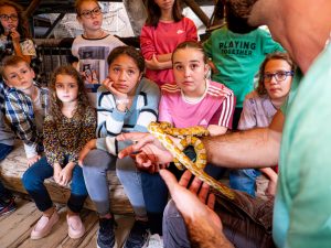 Visite scolaire à La Ferme aux Crocodiles Réserve Tropicale, à Pierrelatte 